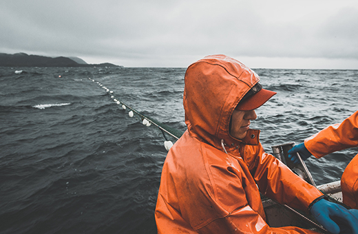 Wild Sockeye Salmon Fisherman with Net